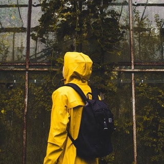 Telegram profile photo for | yellowman +°🍀💛|