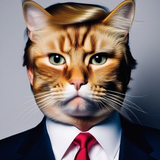Telegram group profile photo for TRUMPCAT