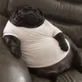 Telegram profile photo for asdeposit