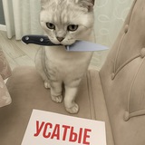 Telegram profile photo for скоро на другом канале