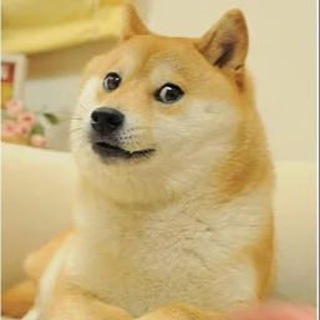 Telegram profile photo for Шутки и мемы | Coin Side