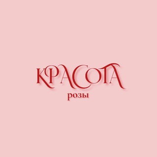 Telegram profile photo for Красота розы | Rose beauty