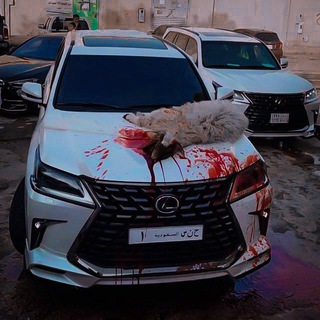 Telegram profile photo for 「مـݪڪ زًمـآني」™