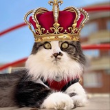 Telegram profile photo for КУЗЯКА