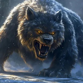 Telegram profile photo for The Wolves Den