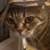 Telegram profile photo for ба бу бе