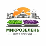 Telegram profile photo for Микрозелень 🥬 г. Октябрьский - Туймазы
