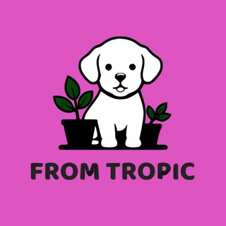 Telegram profile photo for ИЗ ТРОПИКОВ / FROM TROPIC