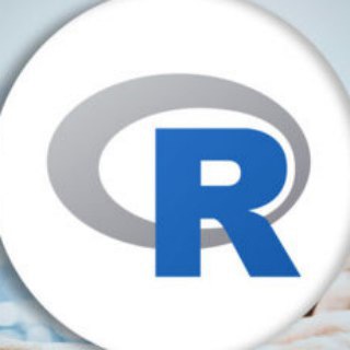 Telegram group profile photo for R 语言中文交流