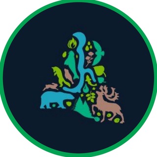 Telegram profile photo for Департамент природных ресурсов и экологии ЯНАО