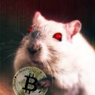 Telegram profile photo for Shitcoins collection