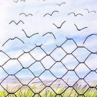Telegram profile photo for Friends of Freedom
