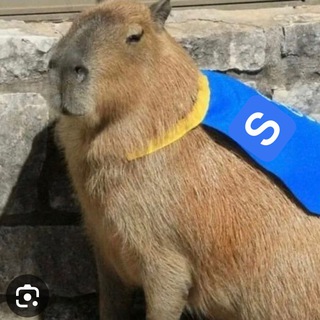 Telegram group profile photo for Скрин сквад