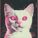 Telegram profile photo for Культ lis ha ko