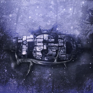 Telegram profile photo for T&D channel