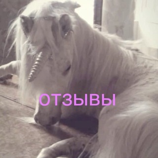 Telegram profile photo for alex_glam0 отзывы