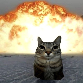 Telegram profile photo for normal арты