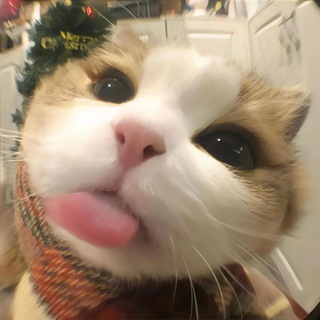 Telegram profile photo for ๐๐ข๐ข๐๐๐ก๐ ๐๐ข๐ฅ ๐๐จ๐ฌ๐๐ฅ๐ฆ & ๐ฆ๐๐๐๐๐ฅ๐ฆ