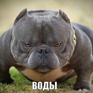 Telegram profile photo for Червячки