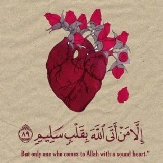 Telegram profile photo for على هَدْيَ الحَبيِب ﷺ🫀