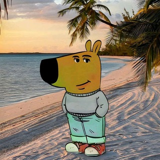 Telegram profile photo for bxkq and music