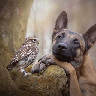 Telegram profile photo for Мир реальности