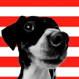 Telegram profile photo for Доз-Передоз