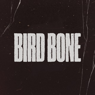 Telegram profile photo for Bird Bone