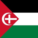 Telegram profile photo for Anti - Woke Palestine ꄐ