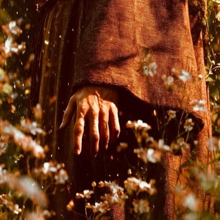 Telegram profile photo for آنۨۨۨۨۨۨۨۨيسܱܰ اࠗلمࣩستوحشۨيަنۨۨۨۨۨۨۨۨ♥️🥀ཻ ؛