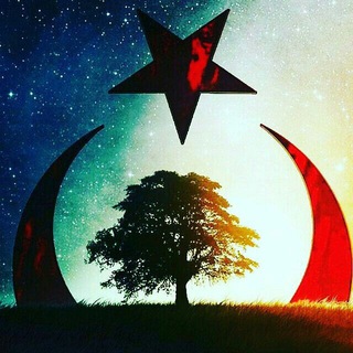 Telegram profile photo for کلیپ و موزیک ترکیه
