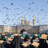 Telegram profile photo for مرسال لبـــــــــنات الكـــــــفيل🎓💚