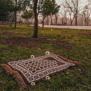 Telegram profile photo for Quran - قرآن