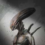 Telegram profile photo for Alveaenerrle