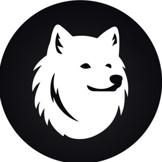 Telegram profile photo for MoonDog