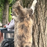 Telegram profile photo for машаклик