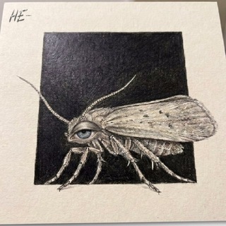 Telegram profile photo for Four moths
