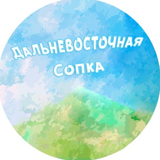 Telegram profile photo for Дальневосточная Cопка