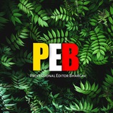 Telegram profile photo for Profesional Editor Bhargav