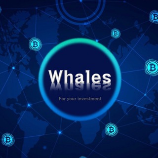 Telegram profile photo for ๐ณ๊ณ ๋ํ BitMEX signal๐ณ