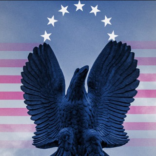 Telegram profile photo for The American Aesthetic