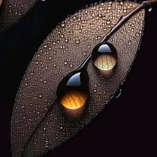 Telegram profile photo for زیبــا و دلنــواز ııl غــذای روح