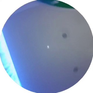 Telegram profile photo for Уголок Могиллят 🔥