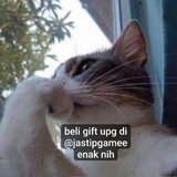 Telegram profile photo for gift upg @jastipgamee