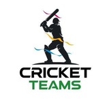 Telegram profile photo for Fantasy Cricket Team