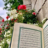 Telegram profile photo for بُنيَانٌ.