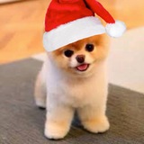 Telegram profile photo for BoyKisser Stock