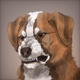 Telegram profile photo for Реф персыы
