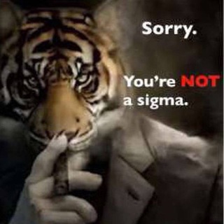 Telegram profile photo for sorry, you're not a sigma | portal