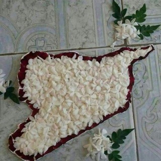 Telegram profile photo for فيديوهات دروس اللغة الانكليزية